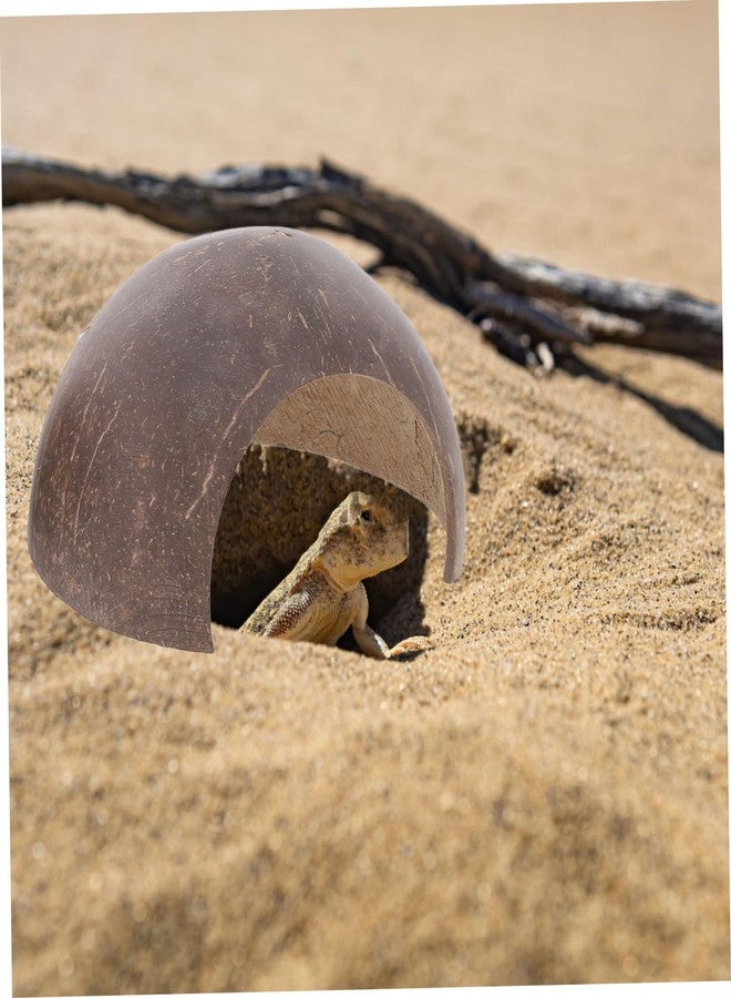 مسكن سلحفاة روسية من الراتنج، ديكور مخبأ للزواحف، مناسب لأحواض الحيوانات الأليفة الصغيرة. - Image 3